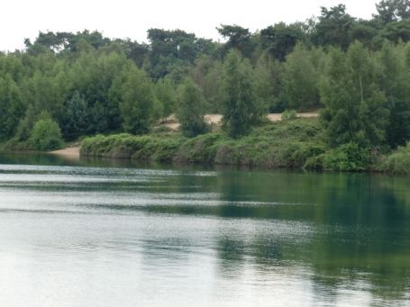 Bergen-Well NL : Maasdünen, Reindersmeer